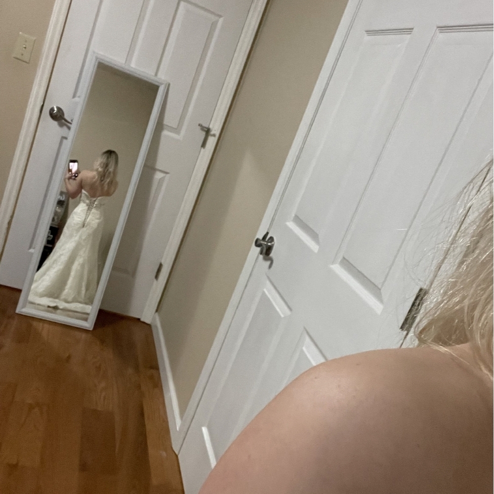 Elegant Ivory Lace Wedding Dress & Veil - Picture 3 of 4